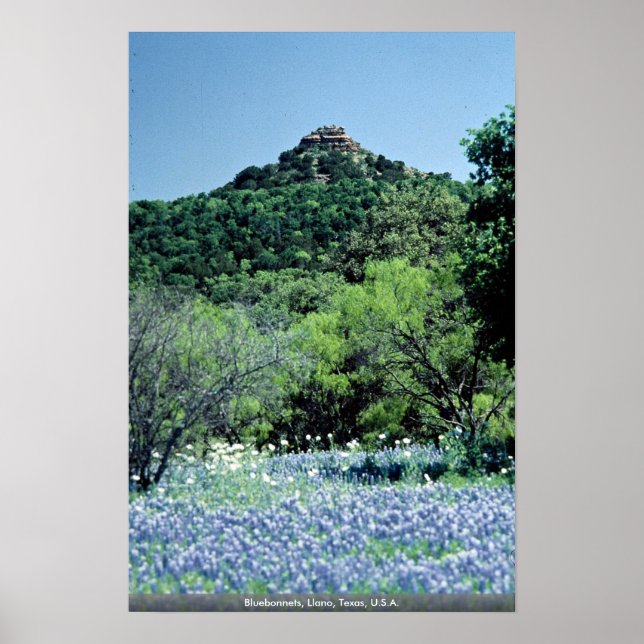 Blånät, Llano, Texas, USA Poster (Framsidan)