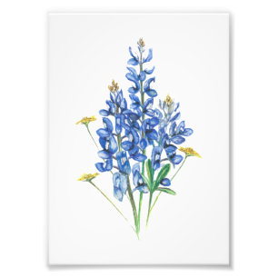 Blånät och Wildblommor Fototryck