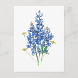 Blånät och Wildblommor Vykort