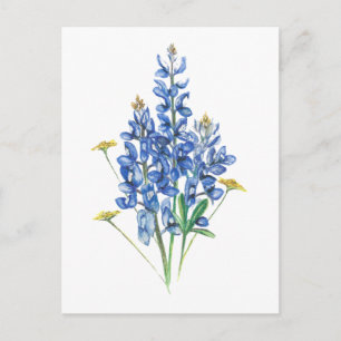 Blånät och Wildblommor Vykort