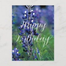 Blånät Texas State Flower Blue Birthday