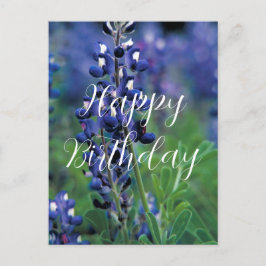 Blånät Texas State Flower Blue Birthday Vykort