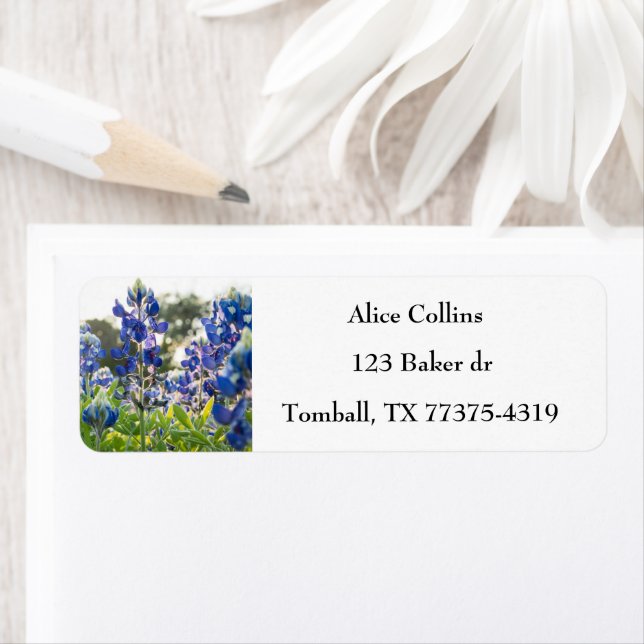 Blånät Texas State Flowers Lupine Returadress Etikett (Insitu)