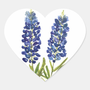 Blånät Texas State Flowers Lupine Watercolor Hjärtformat Klistermärke
