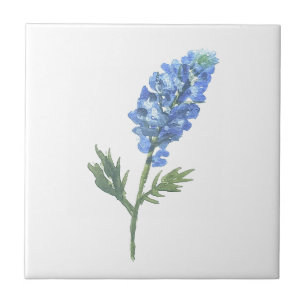 Blånät Texas State Flowers Lupine Watercolor Kakelplatta