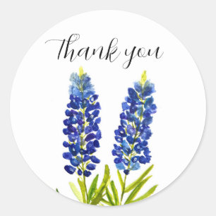 Blånät Texas State Flowers Lupine Watercolor Runt Klistermärke