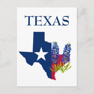 Blånät Texas State Flowers Lupine Watercolor Vykort