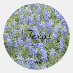 Blånätsdekalett i Texas Runt Klistermärke
