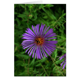 Blanblå blomma hälsningskort