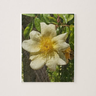 Blanca flor pussel
