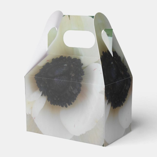 Blanchard Presentaskar (Framsidan Sidan)