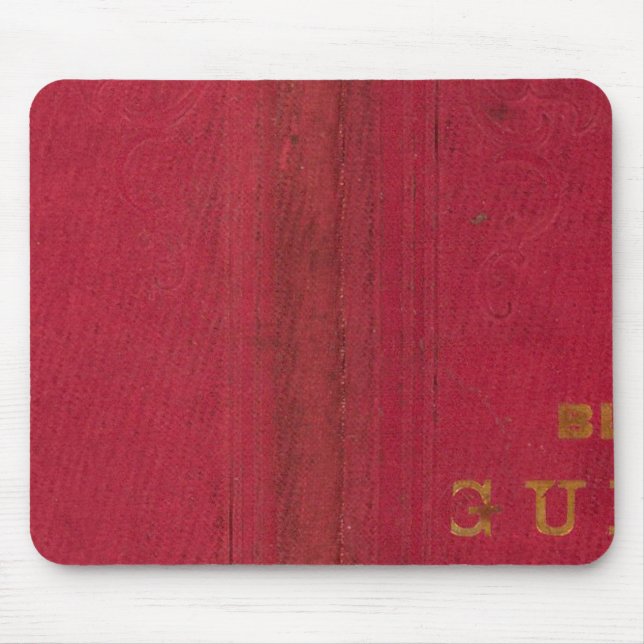 Blanchards guide karta of Chicago 2 Musmatta (Framsidan)