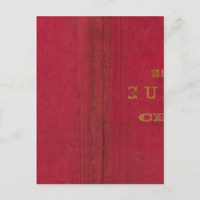 Blanchards guide karta of Chicago 2 Vykort (Framsida)