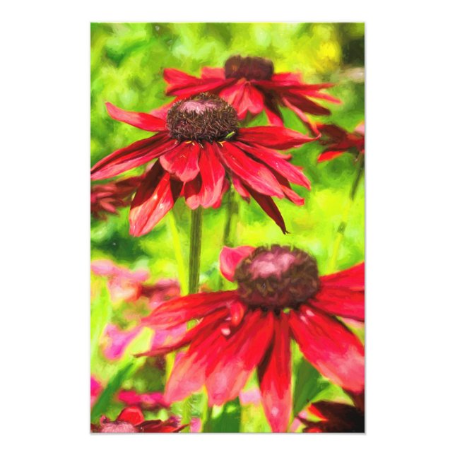 Bland blommorna fototryck (Framsidan)