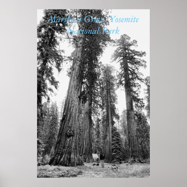 Bland Giants poster (Framsidan)