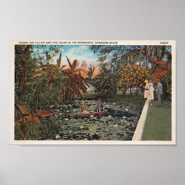 Bland Lillies och Handflatan i Florida Poster (Framsidan)