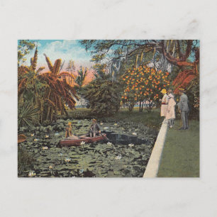 Bland Lillies och Handflatan i Florida Vykort