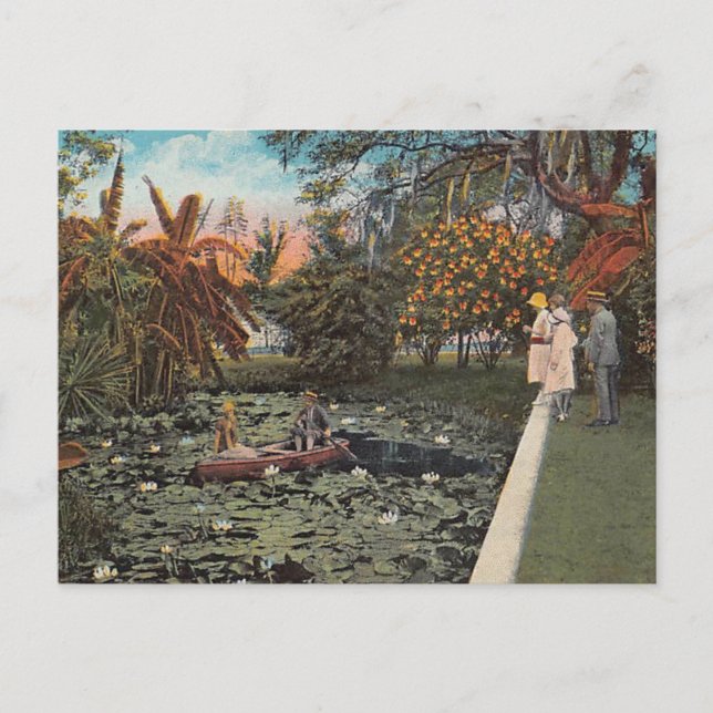 Bland Lillies och Handflatan i Florida Vykort (Framsida)