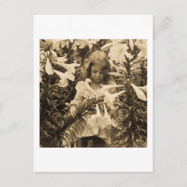 Bland Lillies - Vintage Stereoview Vykort