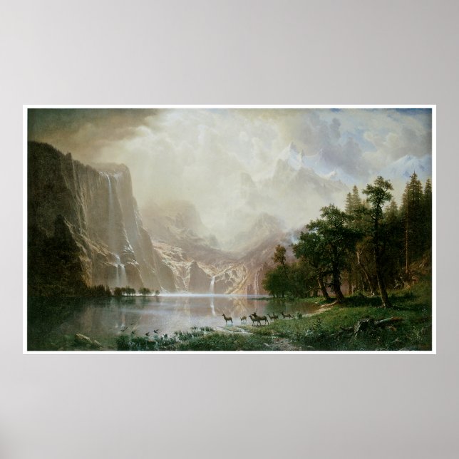 Bland Sierran Nevada-bergen, Kalifornien Poster (Framsidan)