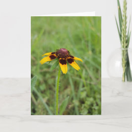 Bland vildblommarna Notecards (tom insida) Kort