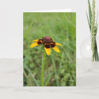 Bland vildblommarna Notecards (tom insida) Kort