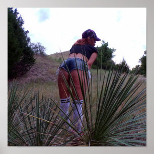 Bland Yuccas anläggningar Poster