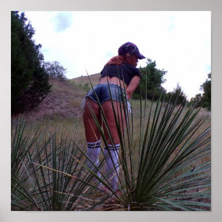 Bland Yuccas anläggningar Poster