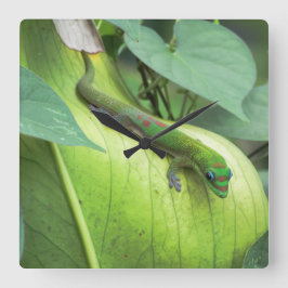 Blanda i fyrkantig klocka