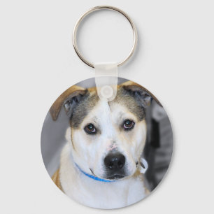 Blandad-Avel Pitbull/gula Labrador Keychain Nyckelring