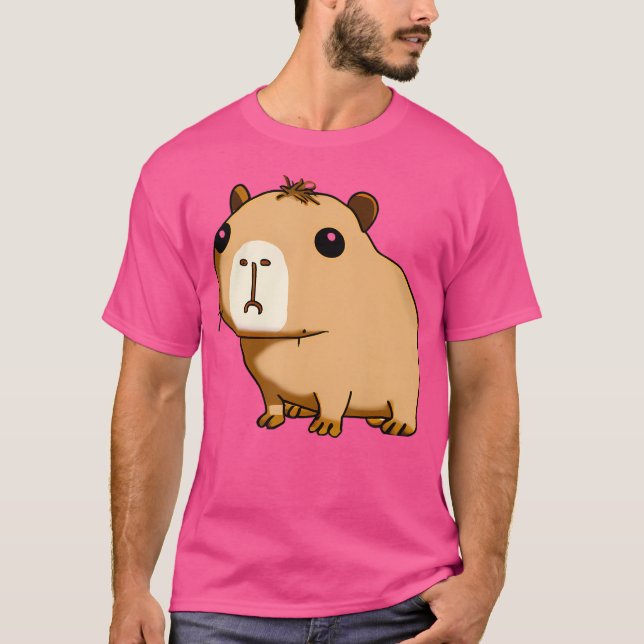 Blandad Capybara T Shirt (Framsida)