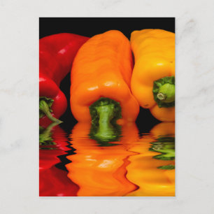 Blandad paprika vykort