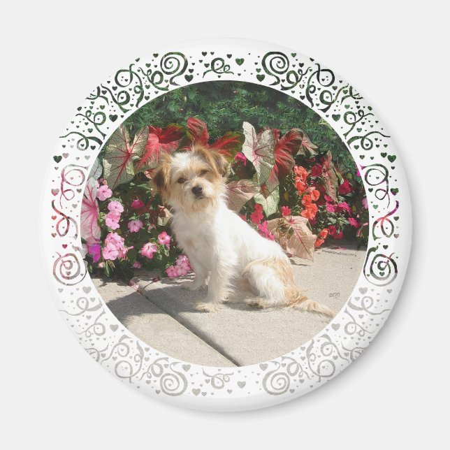 Blandad Terrier Ras Räddningshund Magnet (Framsidan)