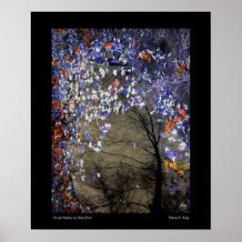 Blandade äpplen på hösten Bassäng Poster