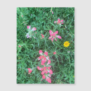 Blandade blommor, magnet