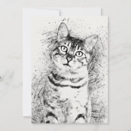 Blandade Cat Porträtt-medier på 5-tums x 7-tums ka