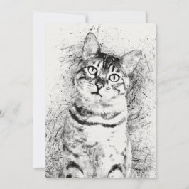 Blandade Cat Porträtt-medier på 5-tums x 7-tums ka
