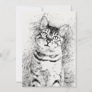Blandade Cat Porträtt-medier på 5-tums x 7-tums ka