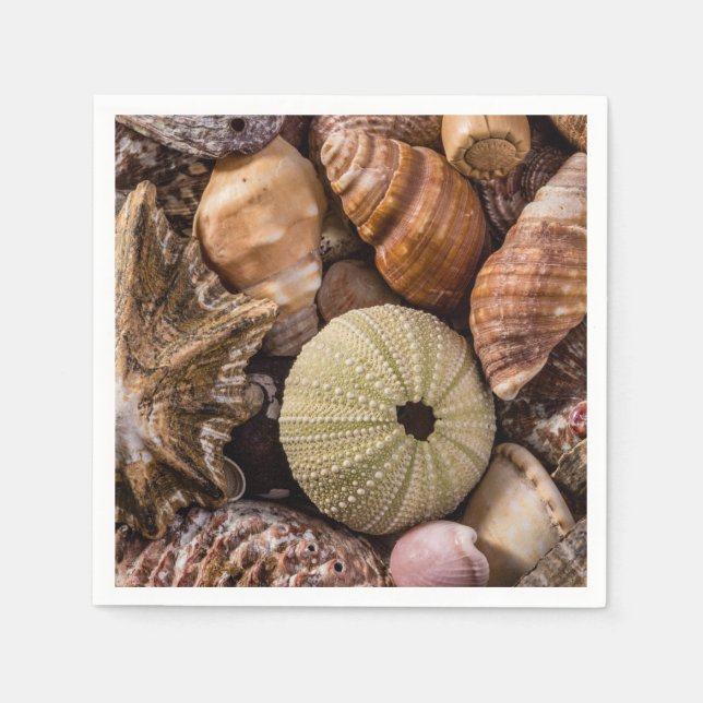 Blandade Snäckor Pappersservett (Framsidan)