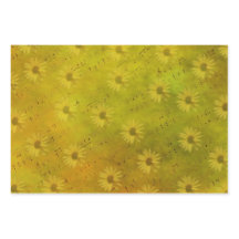 Blandade solskenmedier