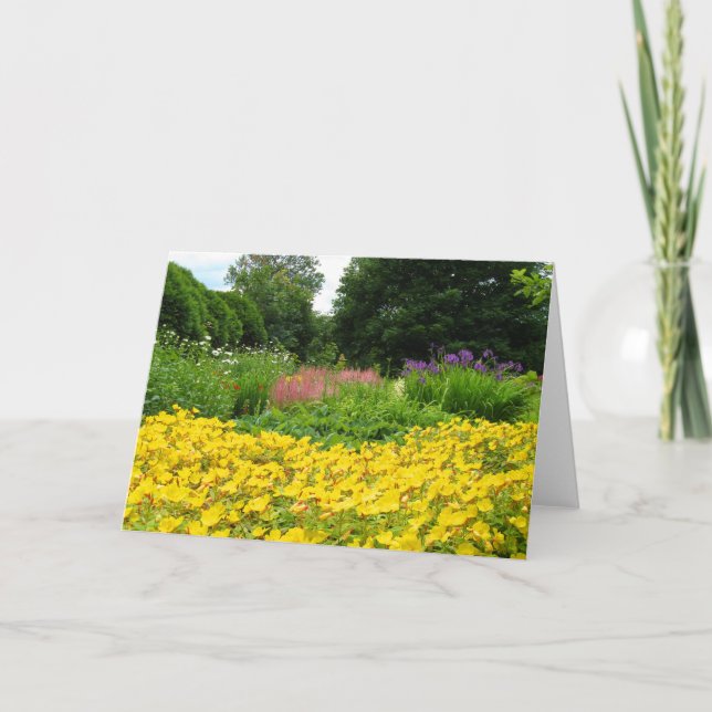 Blandade trädgårdblommor kort (Framsida)