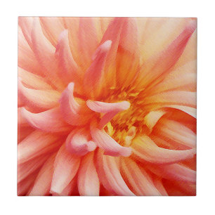 Bländande Dahlia-blomma Kakelplatta
