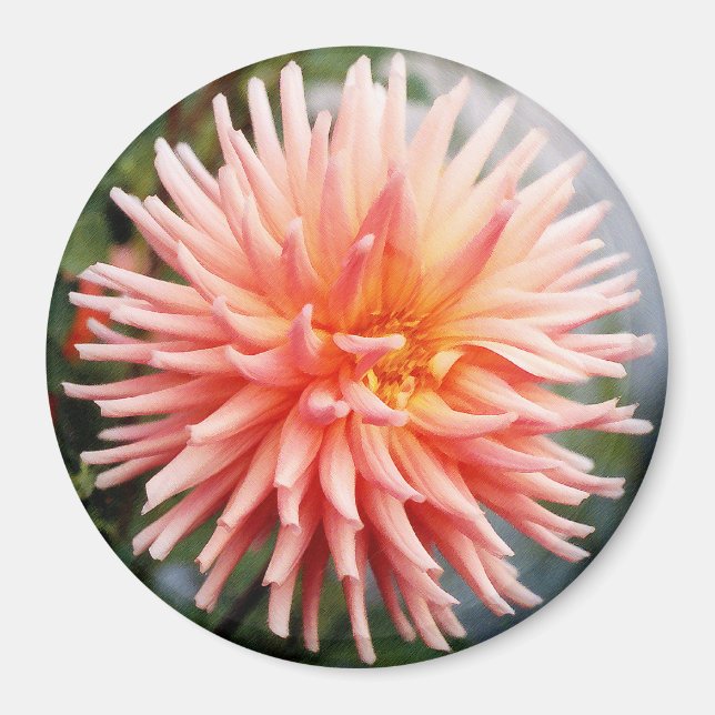 Bländande Dahlia-blomma Magnet (Framsidan)