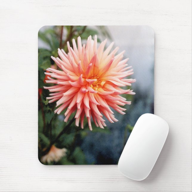 Bländande Dahlia-blomma Musmatta (Med mus)