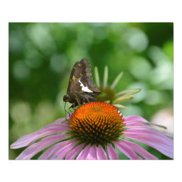 BLANDAR UT FOTOAVTRYCK FOTOTRYCK