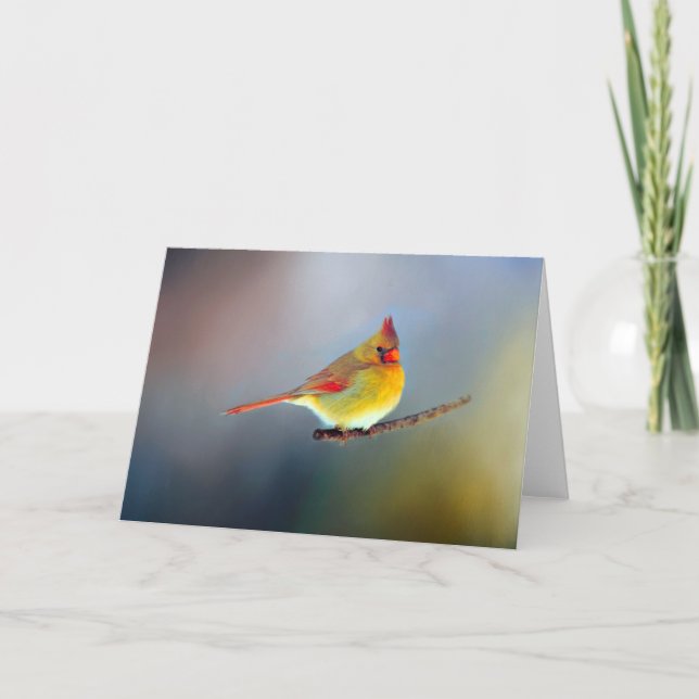 Blandat notera kort (Framsida)