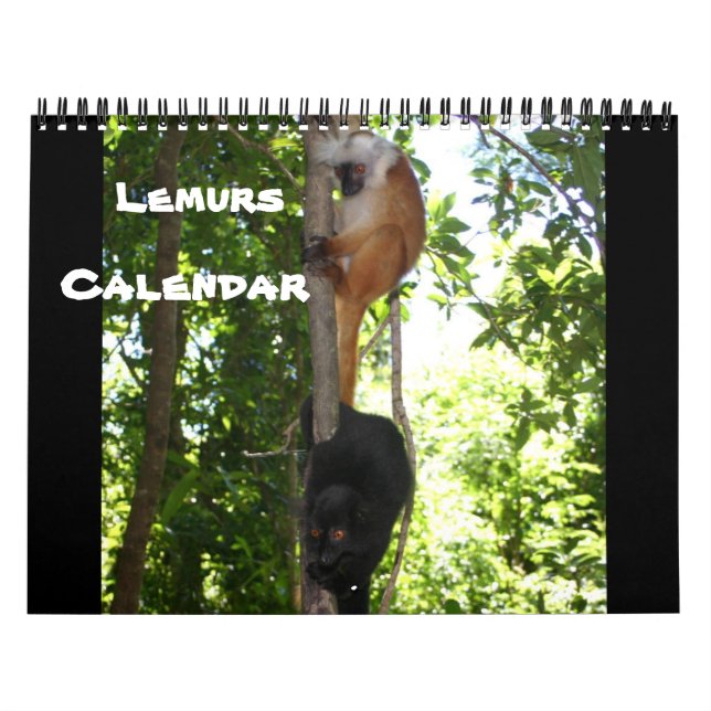 BLANDLEMURS KALENDER (Omslag)