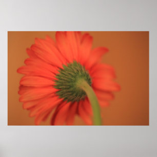 Blandning Poster
