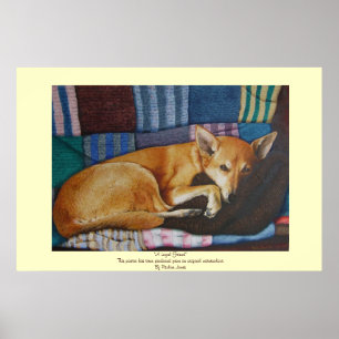 blandras av labrador german shepherd poster