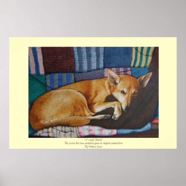 blandras av labrador german shepherd poster (Framsidan)